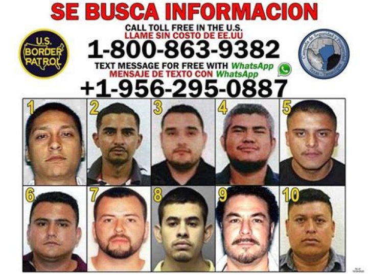 
Who Is Trevino Chavez? Nuevo Laredo Cartel Leader Arrested And In Jail 